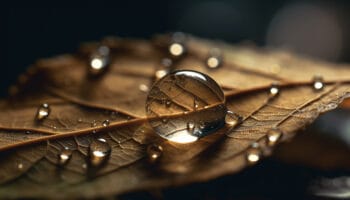 ce purtam toamna acesta mybijoux